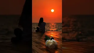 Khushiyan Aur Gam Sehti Hai Song l WhatsApp Status Video 🌹🥀🌷🌷