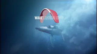 GIN GLIDERS ::: Wave leading edge -- w/ translated subtitles