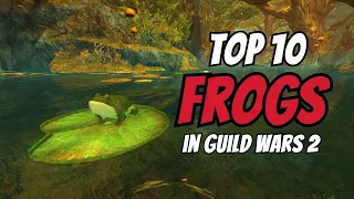 Top 10 Frogs in Guild Wars 2