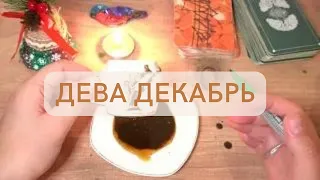 Дева прогноз на декабрь ♍