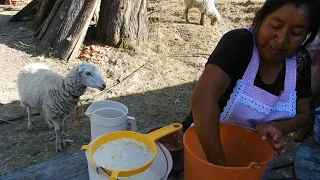 Atole De Granillo - Proceso Completo / Al Sazon De Rancho Oaxaqueña/