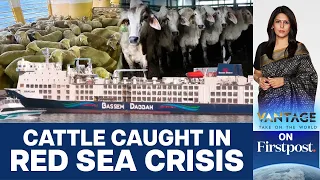 Ship Carrying 16,000 Livestock Stranded Off Australia Amid Red Sea Crisis |Vantage with Palki Sharma