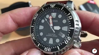 The Priceless Citizen - My First Real Watch