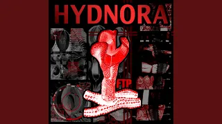 Hydnora 8