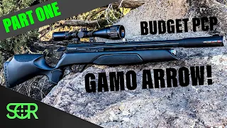 The GAMO Arrow is here! A new budget PCP for the MASSES! - UNBOXING & FIRST TEST SHOTS - part 1 of 3