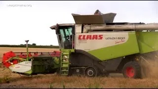 Mähdrescher Claas Lexion 600 bei der Weichweizenernte-combine harvester