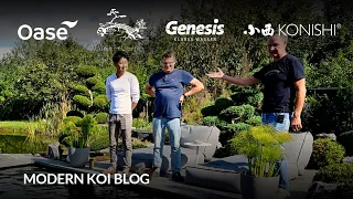 Modern Koi Blog #6187 - Mit Makoto bei Mirko in der Nähe von Hannover