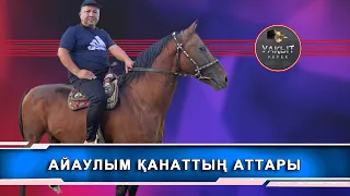 ATАҚТЫ АЛЯАНС АТТЫ ТҰЛПАР ( Уакыт керек )