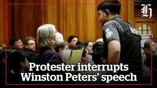 Protester interrupts Winston Peters' speech at parliament