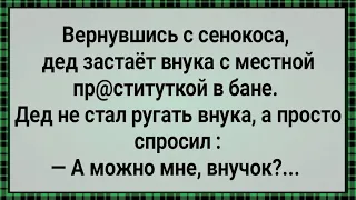 Как Дед Застал Внука с Блудницей в Бане! Сборник Свежих Анекдотов! Юмор!