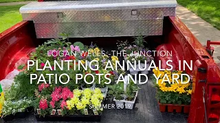 PLANTING ANNUALS IN PATIO POTS AND YARD W LOGAN WELLS   THE JUNCTION