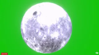 Green Screen Night Moon: A Group of Bats Flying | Chroma Key | Green Screen