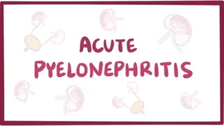 Acute pyelonephritis (urinary tract infection) - causes, symptoms & pathology