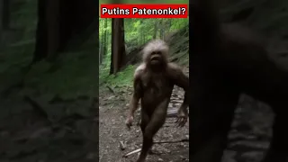 Erschreckende Kreatur in russischem Wald gesichtet! #shorts #russland