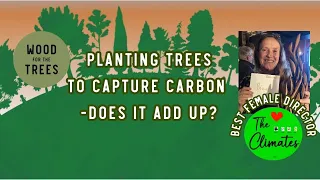 Planting Trees to Capture Carbon - Does it Add Up? Animation Planting Trees for Carbon Sequestration