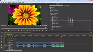 Как легко сделать фильм из ваших ВИДЕО и ФОТО в Adobe Premiere Pro СС!
