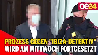 Prozess gegen "Ibiza-Detektiv" wird am Mittwoch fortgesetzt