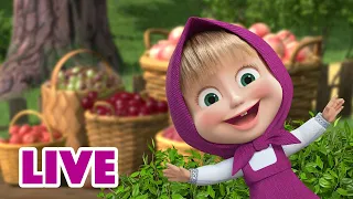 ماشا والدب 👱‍♀️ LIVE STREAM! 🌟 يوم واحد في حياة ماشا 👱‍♀️ Masha and the Bear