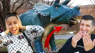 ISTRAZUJEMO KALEMEGDAN I DINOSAURUSE