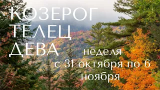 ТАРО ПРОГНОЗ НА НЕДЕЛЮ С 31октября по 6 ноября #алиятаро #дева #козерог #телец