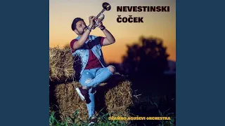 Nevestinski Cocek