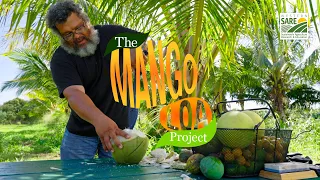 The Mango Loa Project | Umi's Farm | WSARE