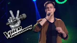 Sia - Angel By The Wings | Tiago Ribeiro da Costa | The Voice of Germany 2017 | Blind Audition