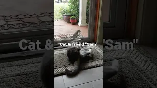 Ollie Cat & squirrel friend "Sam"