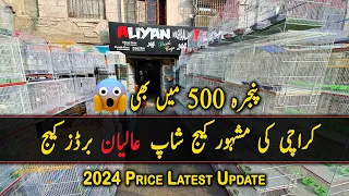 Visited Famous Birds Cage Shop in Karachi The Aliyan Birds Cage | Cages Price in Karachi 2024