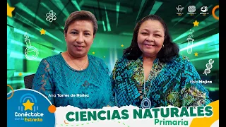 🌟Conéctate con la Estrella/Radio📻: Ciencias Naturales-Primaria (2T) #11: El Tacto.