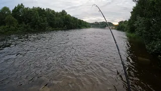 В ВЕРХОВЬЯХ РЕКИ РЫБА ЕЩЁ ЛОВИТСЯ НЕПЛОХО / FISH ARE CAUGHT IN THE UPPER REACHES OF THE RIVER