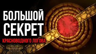 Skyrim - Секреты и Интересное Одной Локации! Красноводное логово. ( Секрет 451 )