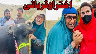 Ghat Akhtar Aw Qurbani || Khwahi Engor Drama Episode 14 || Takar Vines