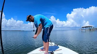 Inshore fishing the Indian river lagoon in central Florida