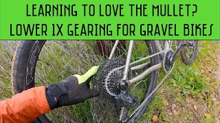 Living with a Mullet on my gravel bike. The lower gearing give and take.