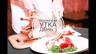 Китай. Пекинская утка. День 3