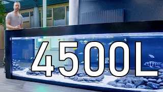 3,5m XXXL Firmen Aquarium!? | Professionelle Anlagen und Pflege-Tour TEIL 2