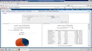 OBIEE Overview - An HCG Quick Demonstration