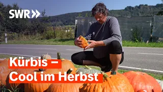 Kein Herbst ohne Kürbis: besondere Kürbissorten, Rezepte und Deko Ideen mit Kürbis | SWR Treffpunkt