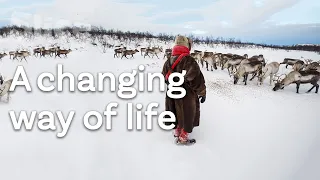 The Sami: Legendary herders of the Great North I SLICE