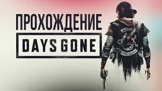 DAYS GONE - ПЕРВЫЙ ВЗГЛЯД И ПРОХОЖДЕНИЕ (PS4)