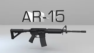 How An AR-15 Rifle Works: Part 1, Components