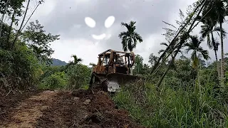 How to easily widen a road with a bulldozer on a plantation to make it fast and tidy