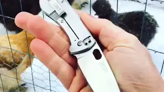 The CRKT Amicus Compact