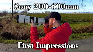 Sony 200-600mm First Impressions