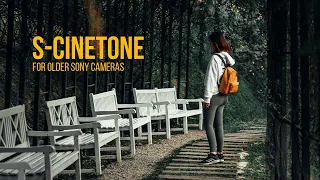 How To Get S-CINETONE for A7C, ZV-E10, and other Sony Cameras