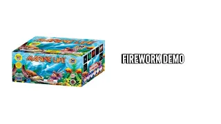 Marine Life 500 gram cake | Firework Demo 36 shots by World Class