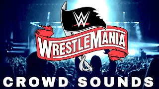 Wrestlemania 2020 Crowd Cheer Sound Effect | One Hour