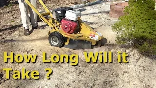 13hp stump grinder vs large stump. how long does it take