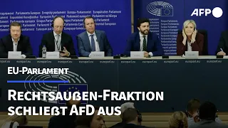 EU-Parlament: Rechtsaußen-Fraktion schließt AfD aus | AFP